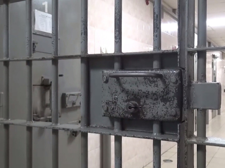 Подробнее о статье Главу исправительной колонии арестовали за создание коррупционной схемы