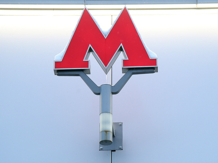 Подробнее о статье Мужчину арестовали за домогательства в московском метро