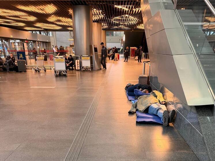 Подробнее о статье Обстановка во «Внуково»: раздают коврики, предлагают гостиницу