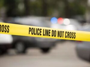 Подробнее о статье С нечеловеческой жестокостью: кровавые преступления украинских эмигрантов потрясают Европу и США