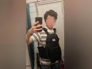 Подробнее о статье Требуется «низшая форма морали»: Меркачева предлагает законодательно запретить трансляцию убийств