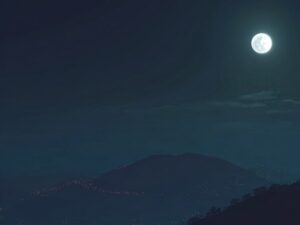 Подробнее о статье В Чехии убили 22-летнюю украинку по неизвестным причинам