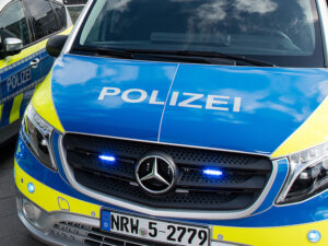 Подробнее о статье В лесу нашли обезглавленное тело оставившей младенца у стен монастыря матери