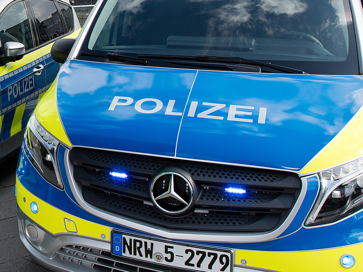 Подробнее о статье В лесу нашли обезглавленное тело оставившей младенца у стен монастыря матери