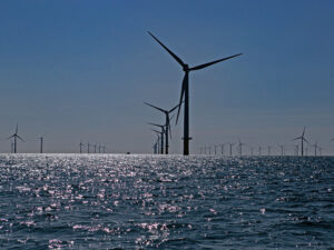 Подробнее о статье Выпавший за борт роскошной яхты пассажир погиб в море